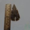 Curved Arrowheads