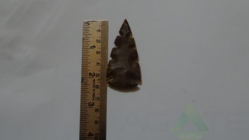 Arrowheads AH#1