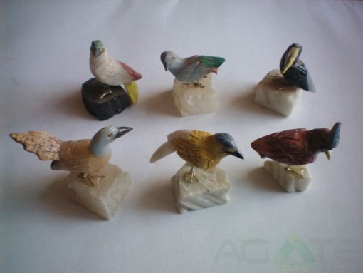 Bird 10