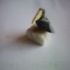 Bird 3