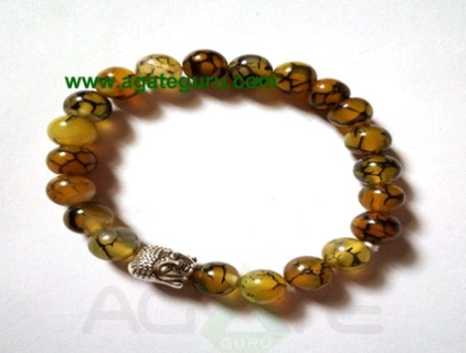 Squama rock/Dragon Bone with Buddha Beads Bracelets